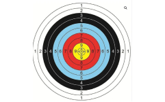 Professional foam strip target